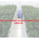 Things to know about marijuana dispensary in California