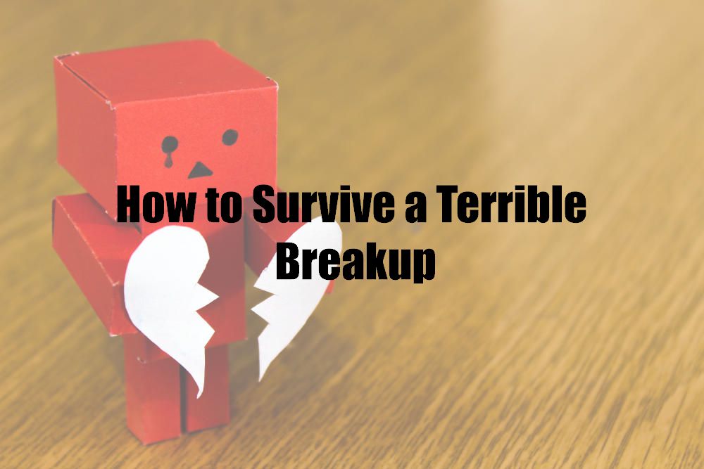 How to Survive a Terrible Breakup